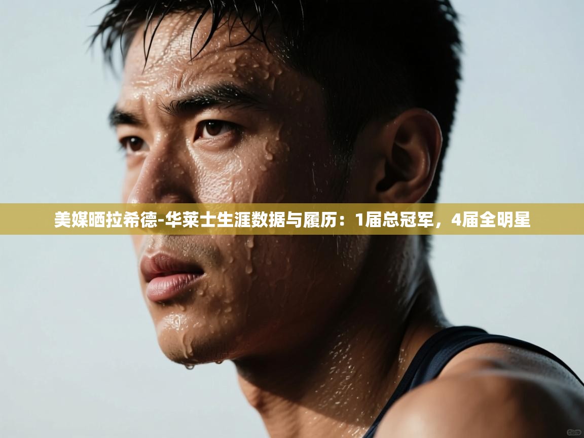 美媒晒拉希德-华莱士生涯数据与履历：1届总冠军，4届全明星  第2张