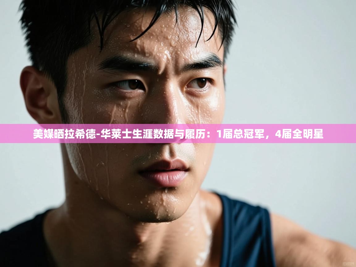 美媒晒拉希德-华莱士生涯数据与履历：1届总冠军，4届全明星  第1张