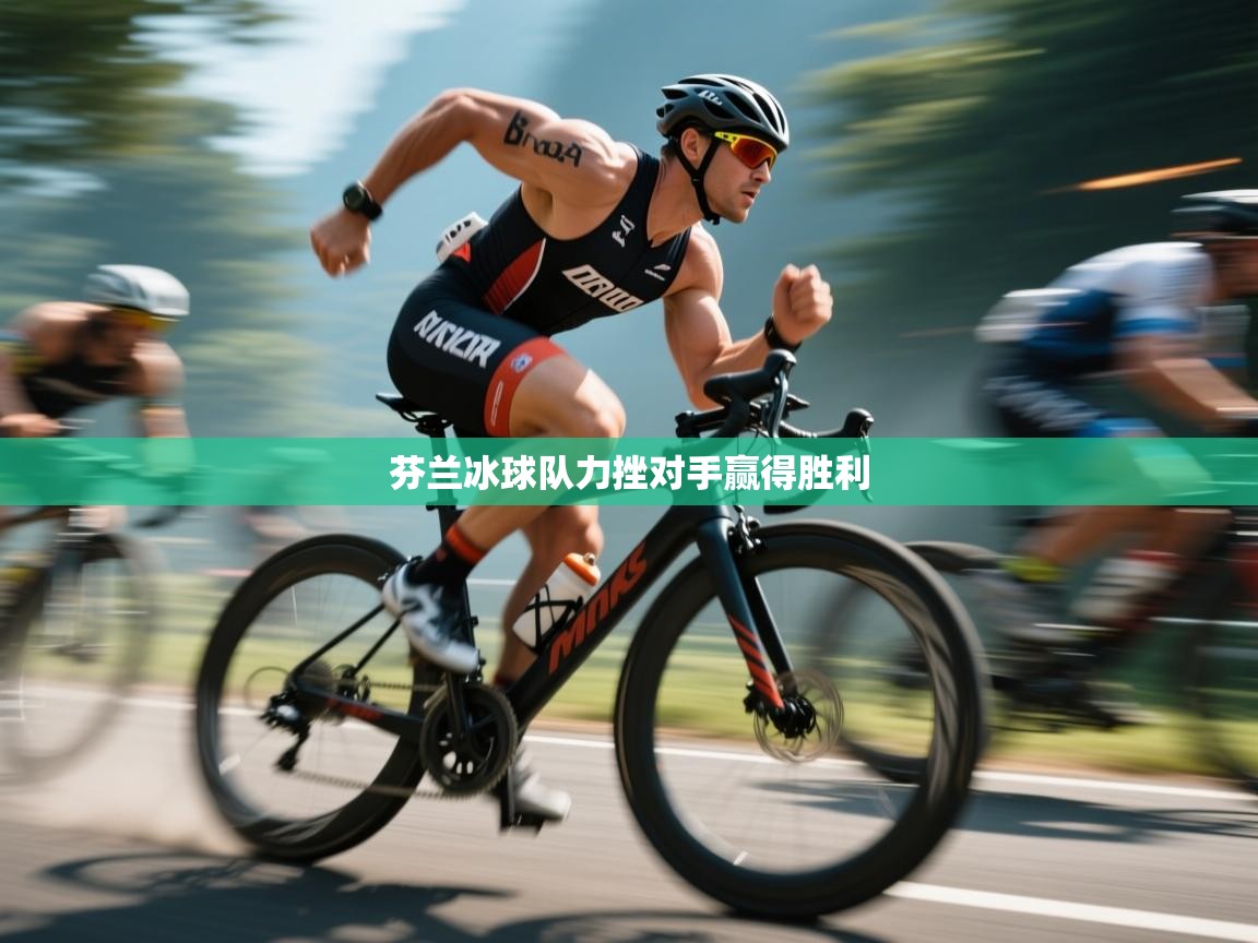 芬兰冰球队力挫对手赢得胜利